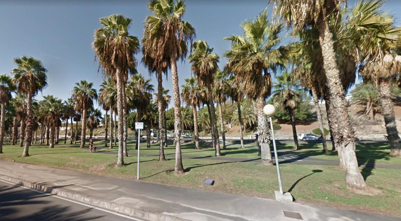 Bungalows Playa Flor, Campo Internacional, Maspalomas. ماسبالوماس المظهر الخارجي الصورة