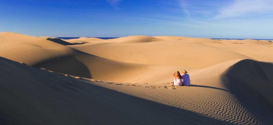 Bungalows Playa Flor, Campo Internacional, Maspalomas. ماسبالوماس المظهر الخارجي الصورة