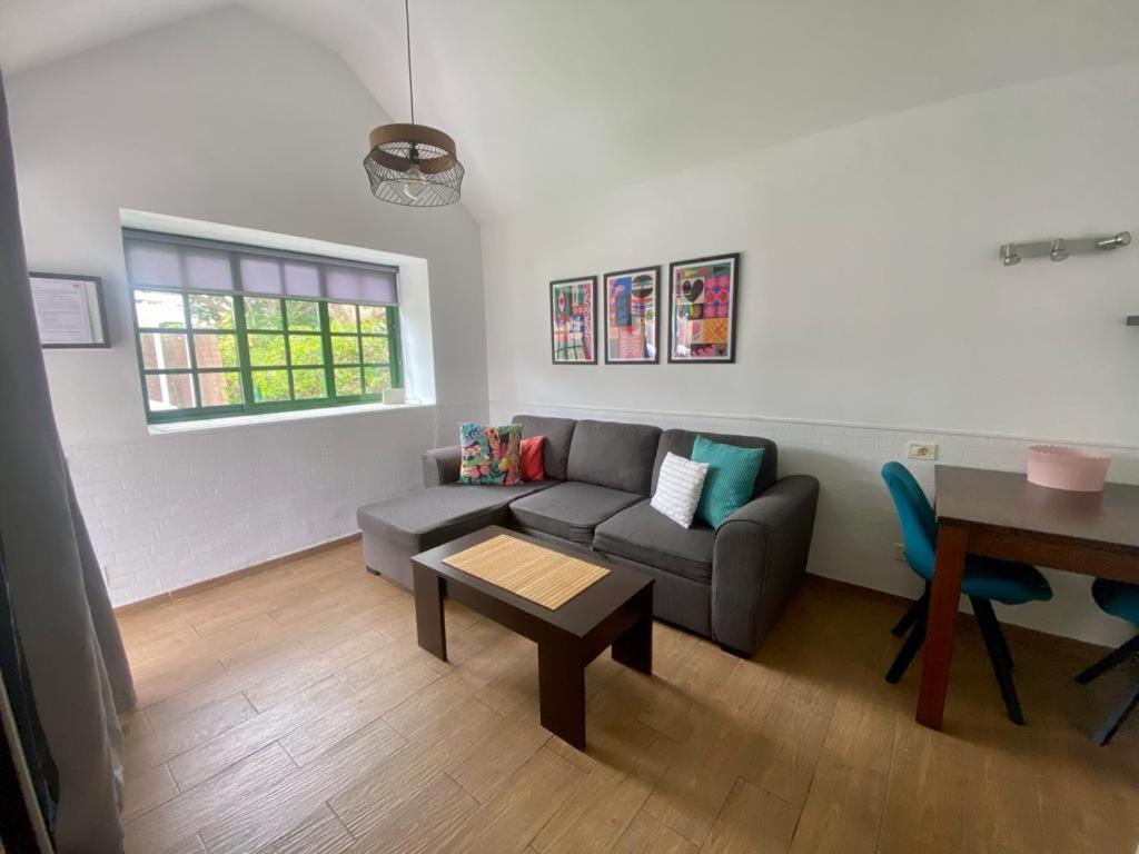 Bungalows Playa Flor, Campo Internacional, Maspalomas. ماسبالوماس المظهر الخارجي الصورة